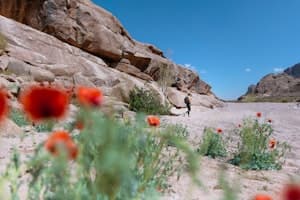 AI generated image 7